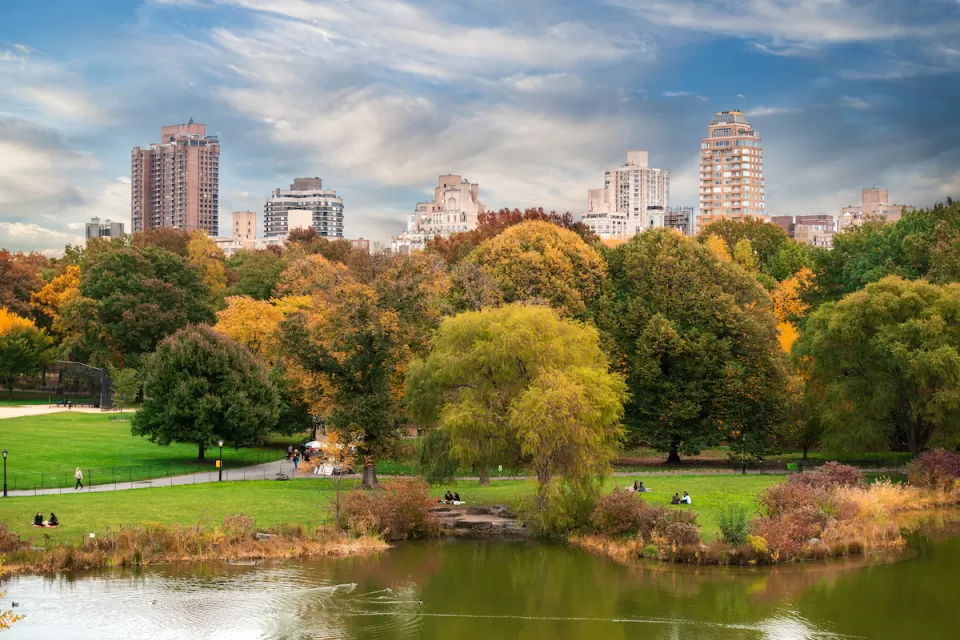 View of green meadow with people and fall-colored trees in Central Park with Manhattan buildings in background.